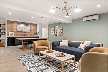 Clubroom couches